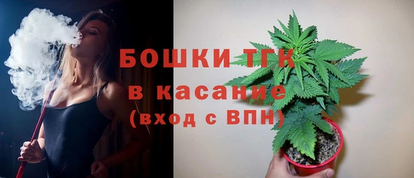 spice Богданович