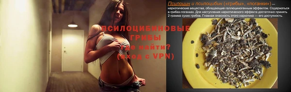 ECSTASY Богородицк