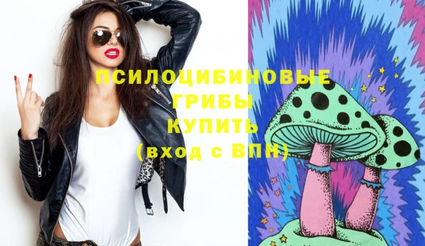 spice Богданович