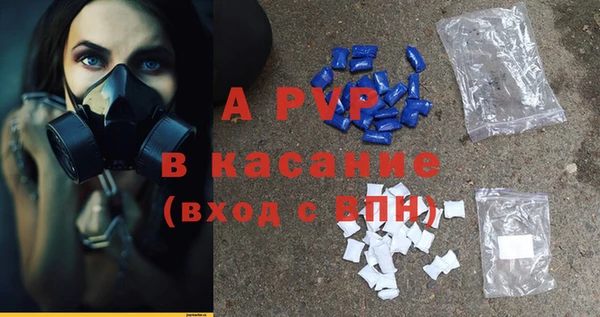 spice Богданович
