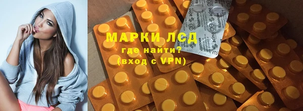 spice Богданович