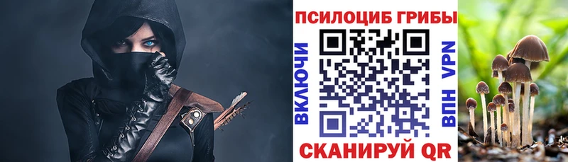 Галлюциногенные грибы мицелий  Старица 